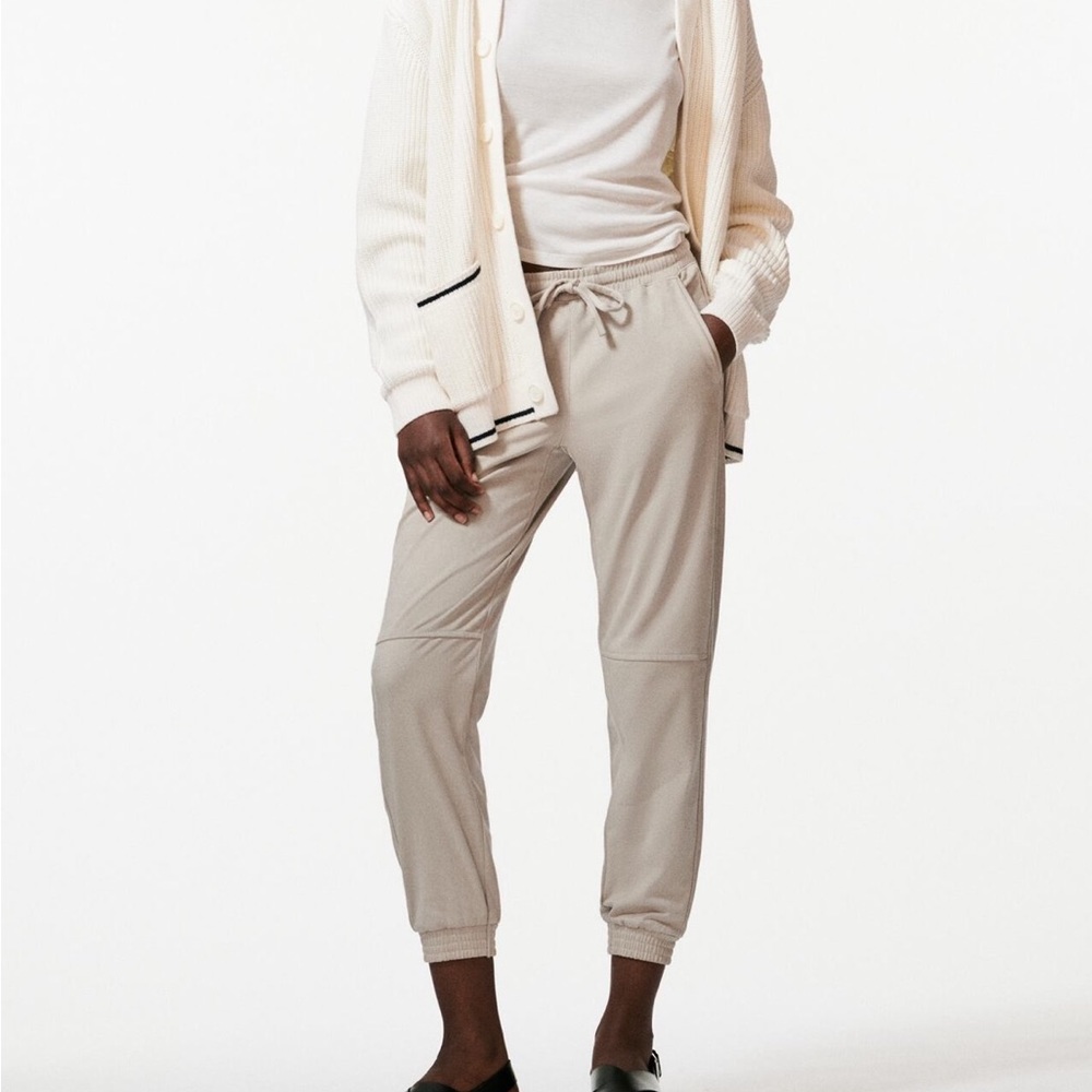 Zara suede Jorgger pants